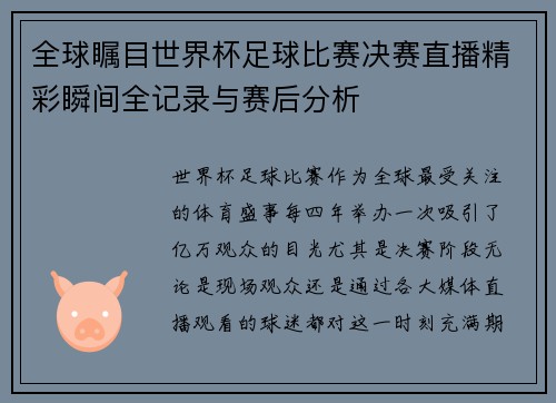 全球瞩目世界杯足球比赛决赛直播精彩瞬间全记录与赛后分析